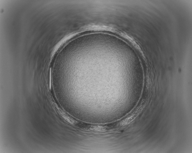 X0000087641175200705181518