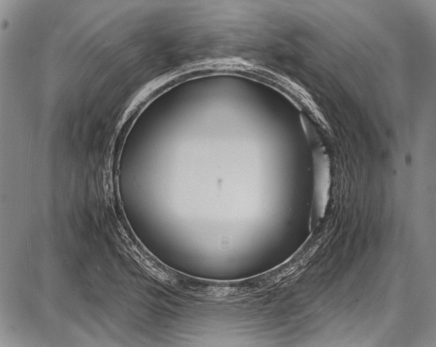 X0000087641176200705181518