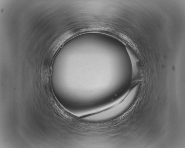 X0000087641177200705181518