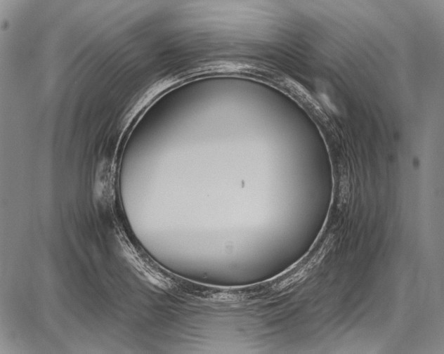 X0000087641178200705181518