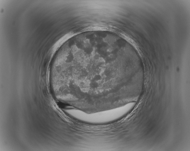 X0000087641179200705181518