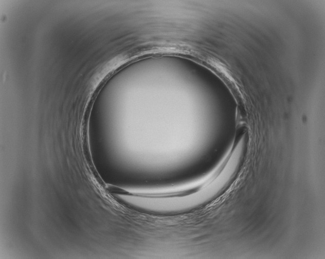 X0000087641181200705181518