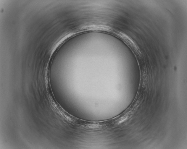 X0000087641182200705181518