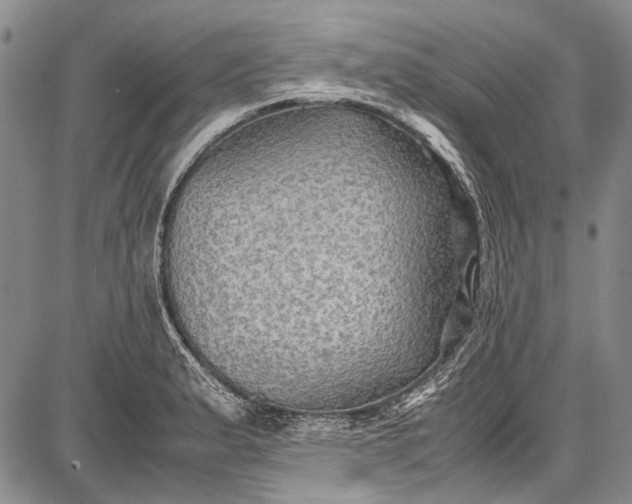 X0000087641183200705181518