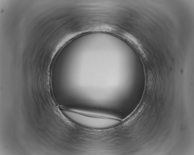 X0000087641184200705181518