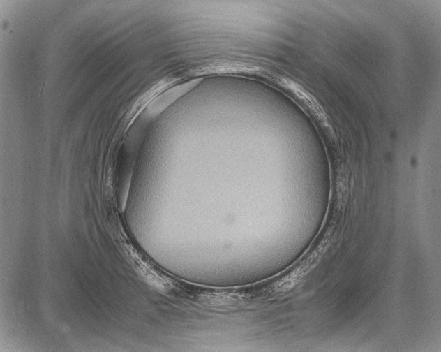 X0000087641185200705181518