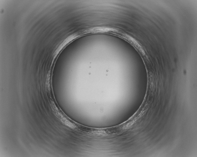 X0000087641186200705181518