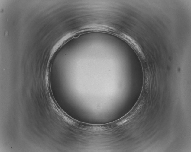 X0000087641188200705181518