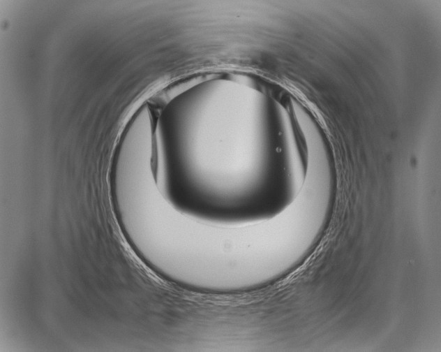 X0000087641189200705181518