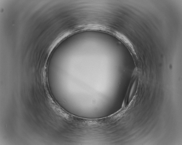 X0000087641190200705181518