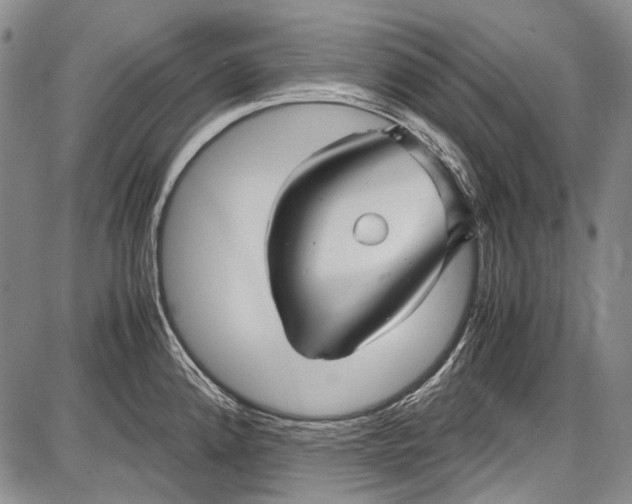 X0000087641192200705181518