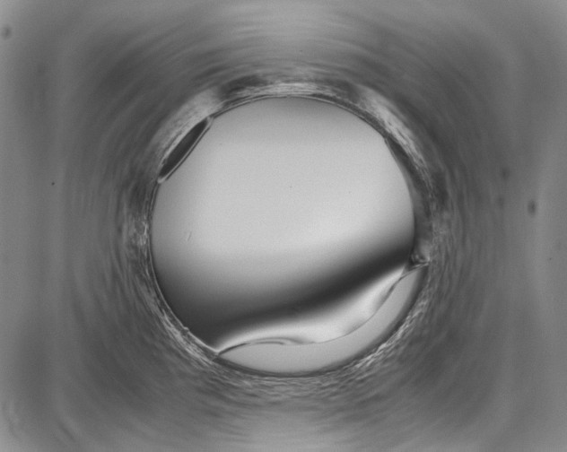 X0000087641193200705181518