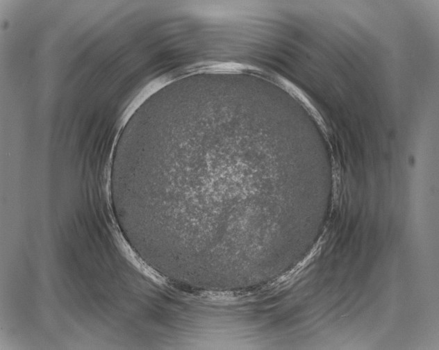 X0000087641194200705181518