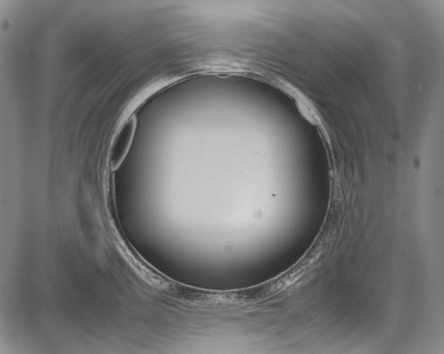 X0000087641195200705181518