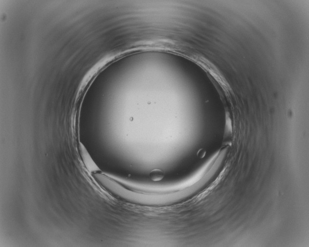 X0000087641196200705181518