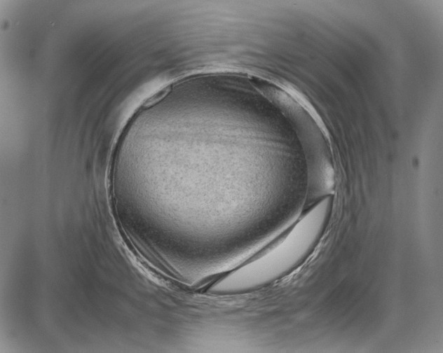 X0000087641197200705181517