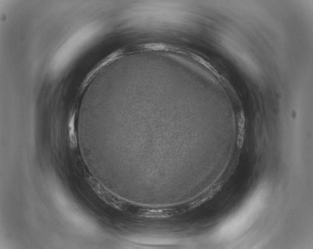 X0000087641198200705181517