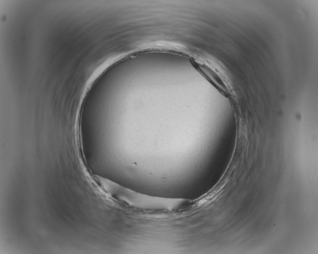 X0000087641199200705181517