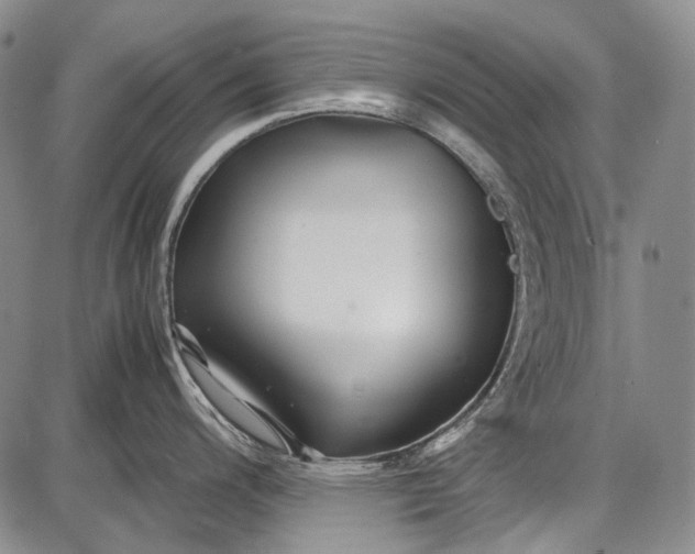 X0000087641200200705181517