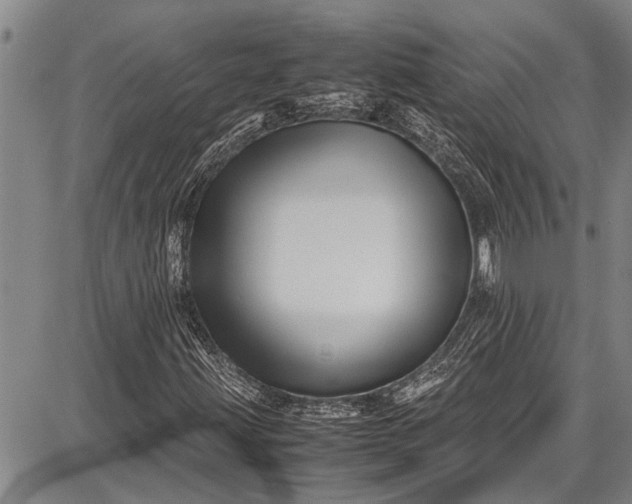 X0000087641203200705181517