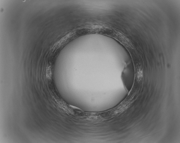 X0000087641204200705181517