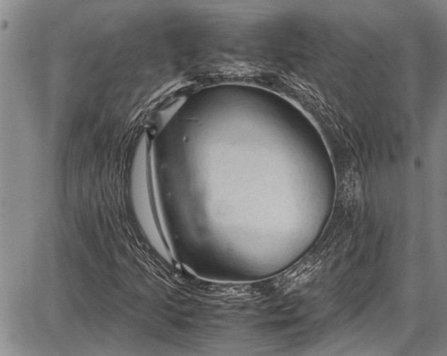 X0000087641205200705181517