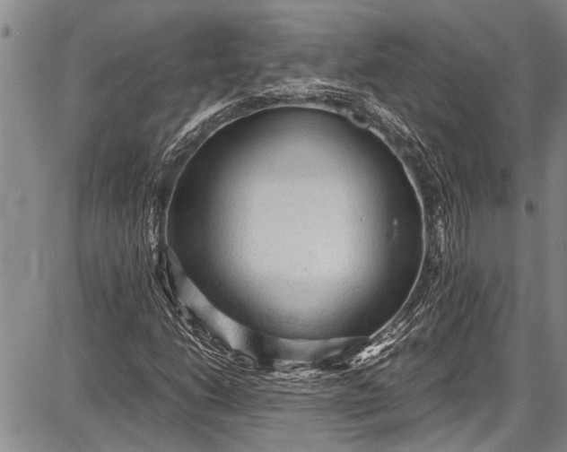 X0000087641206200705181517