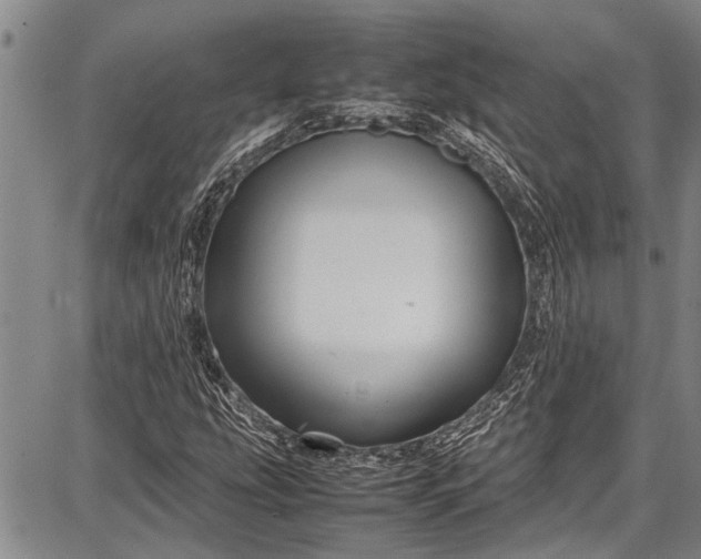 X0000087641207200705181517