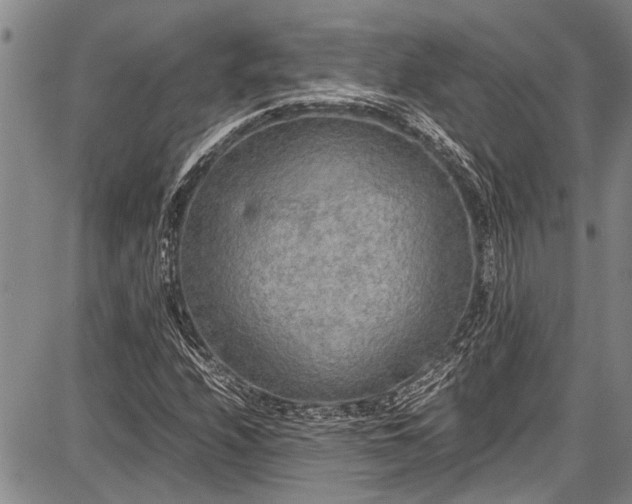 X0000087641208200705181517