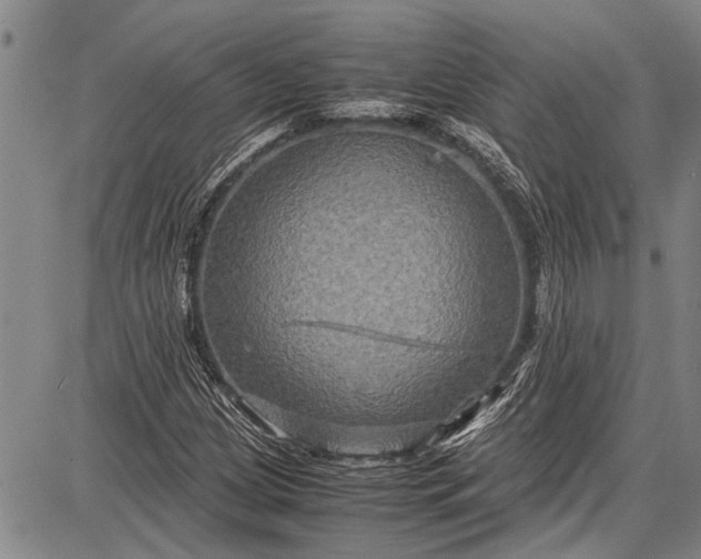 X0000087641209200705181517