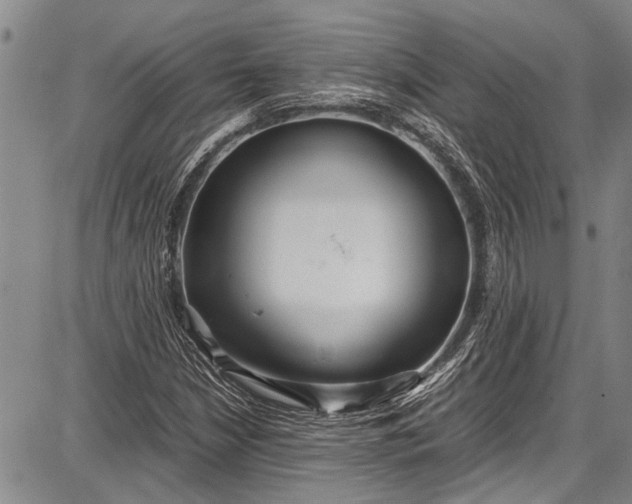 X0000087641210200705181517