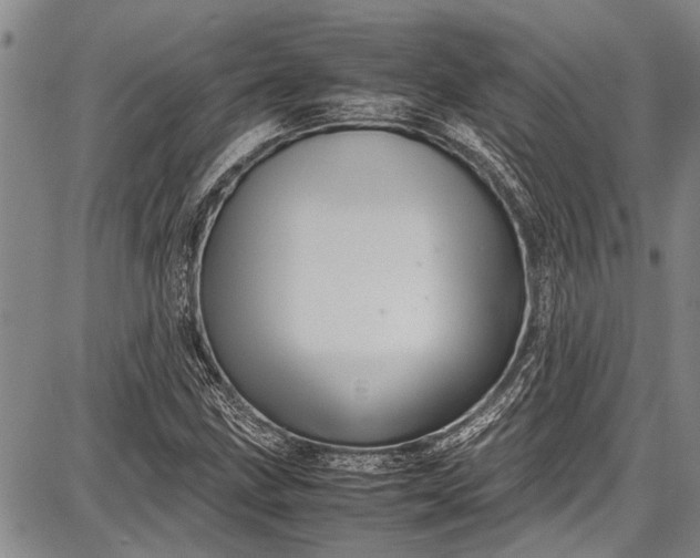 X0000087641211200705181517