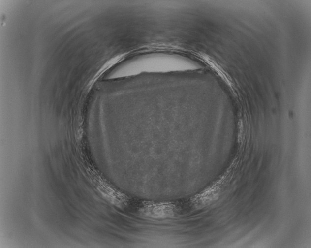 X0000087641213200705181517