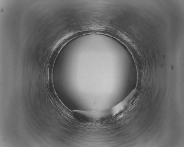 X0000087641214200705181517