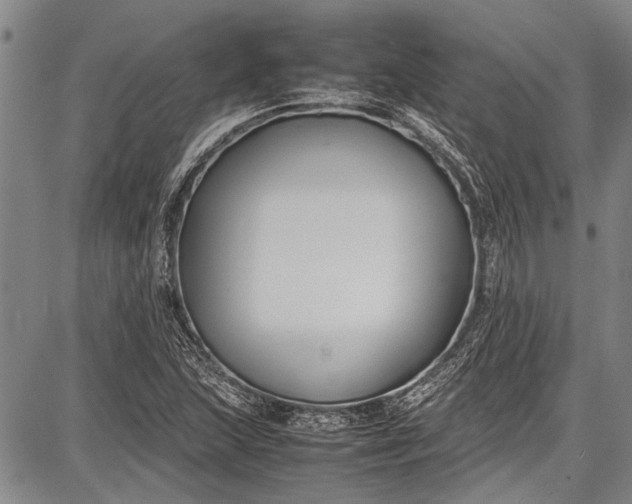 X0000087641215200705181517