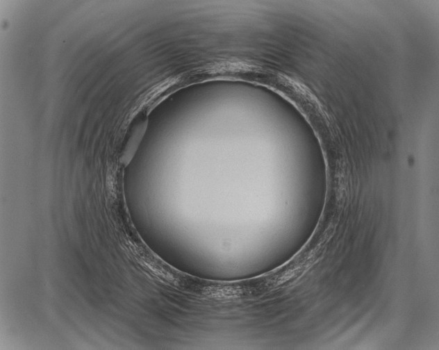 X0000087641217200705181517