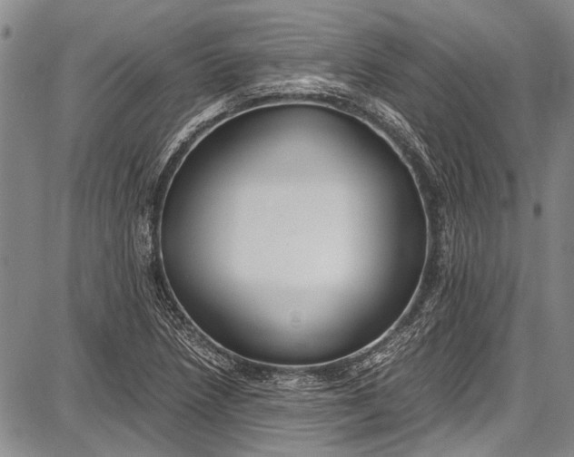 X0000087641218200705181517