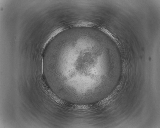 X0000087641219200705181517