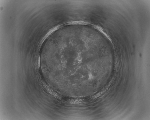 X0000087641221200705181517