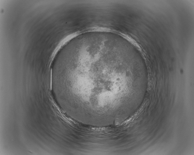 X0000087641223200705181517