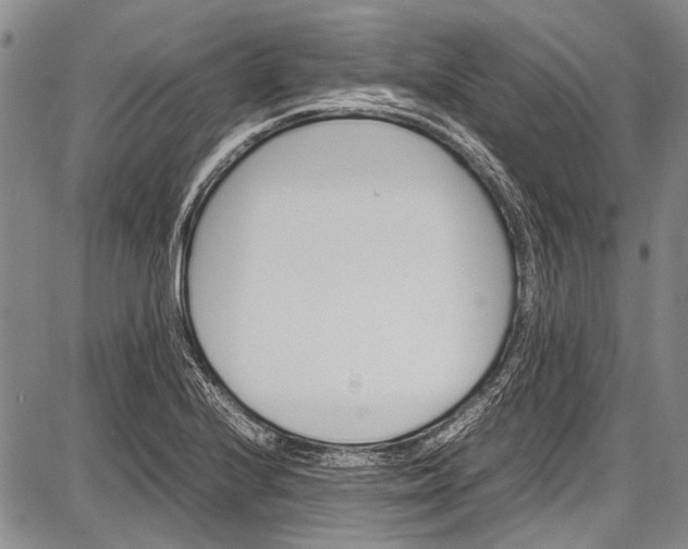 X0000087641224200705181517