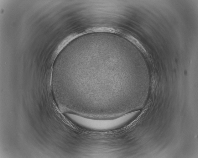 X0000087641228200705181517