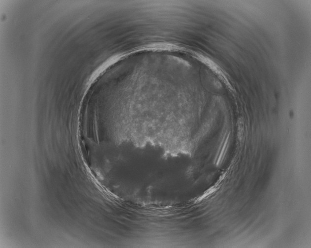 X0000087641229200705181517