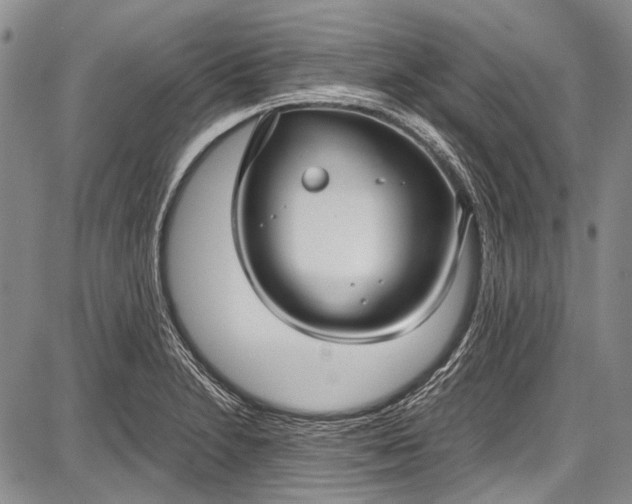 X0000087641230200705181517