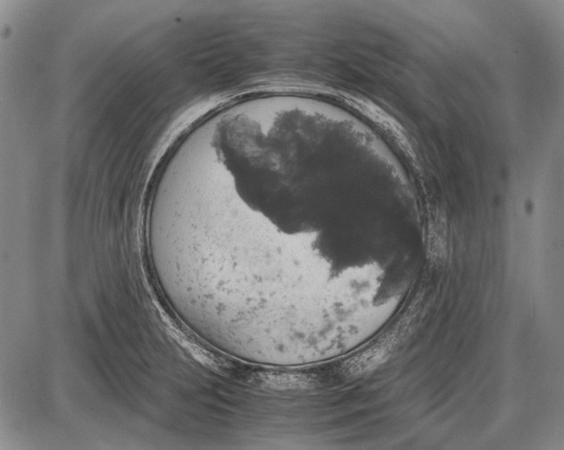 X0000087641231200705181517