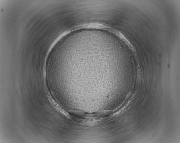 X0000087641232200705181517