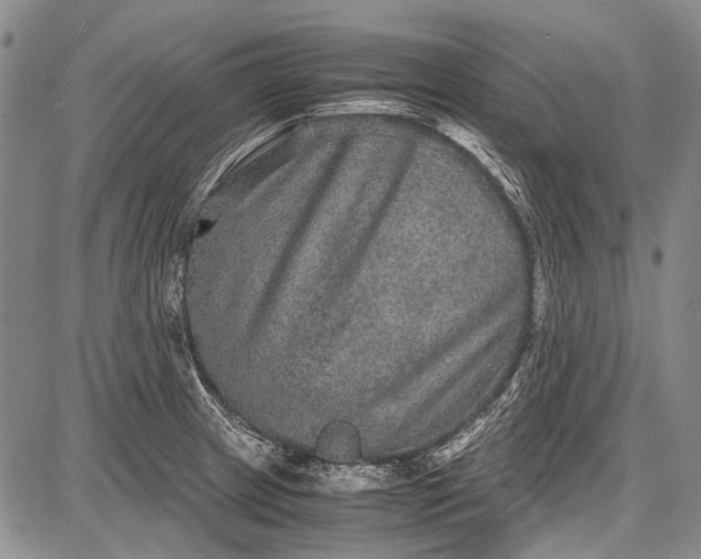 X0000087641233200705181517