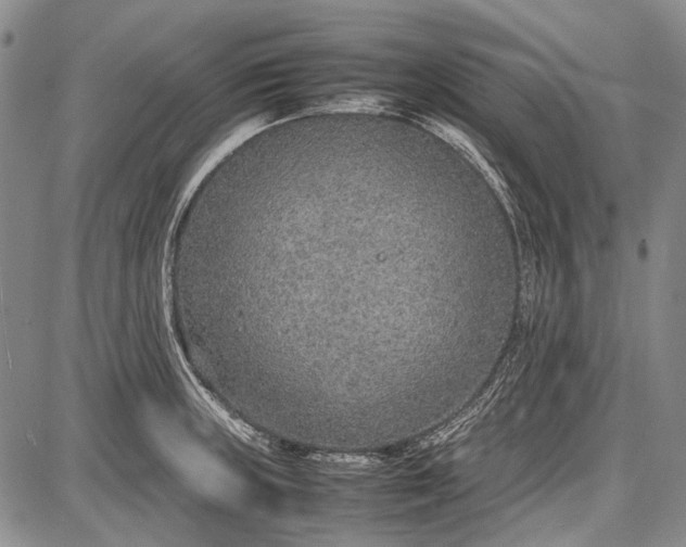 X0000087641235200705181517