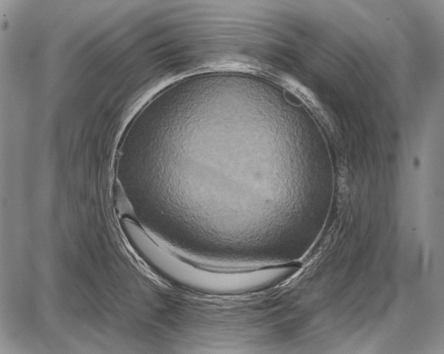 X0000087641236200705181517