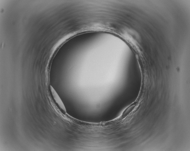 X0000087641238200705181517